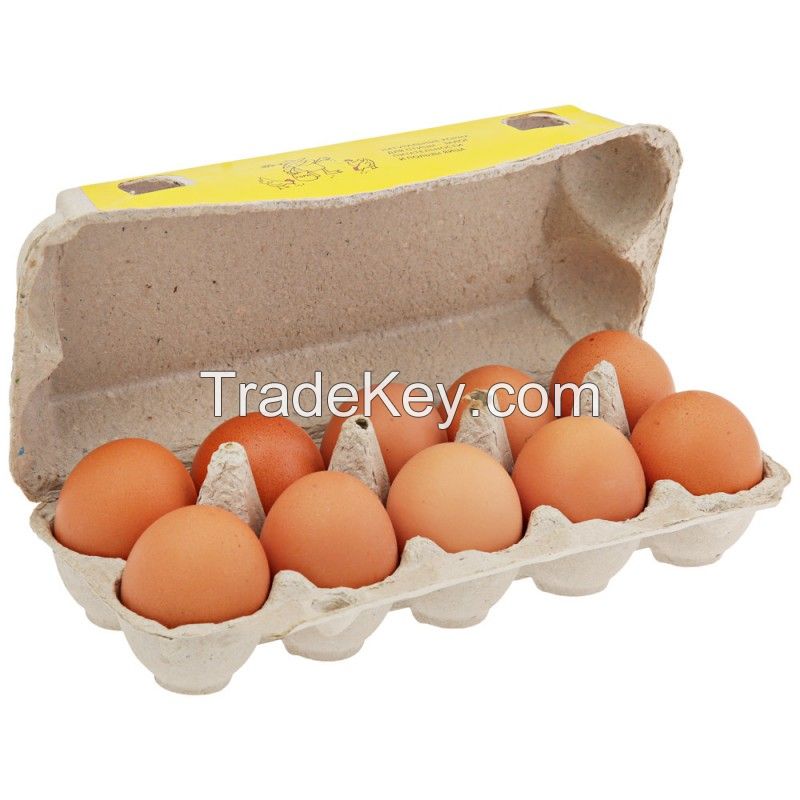 Farm Fresh Chicken Table Eggs / White Chicken Eggs