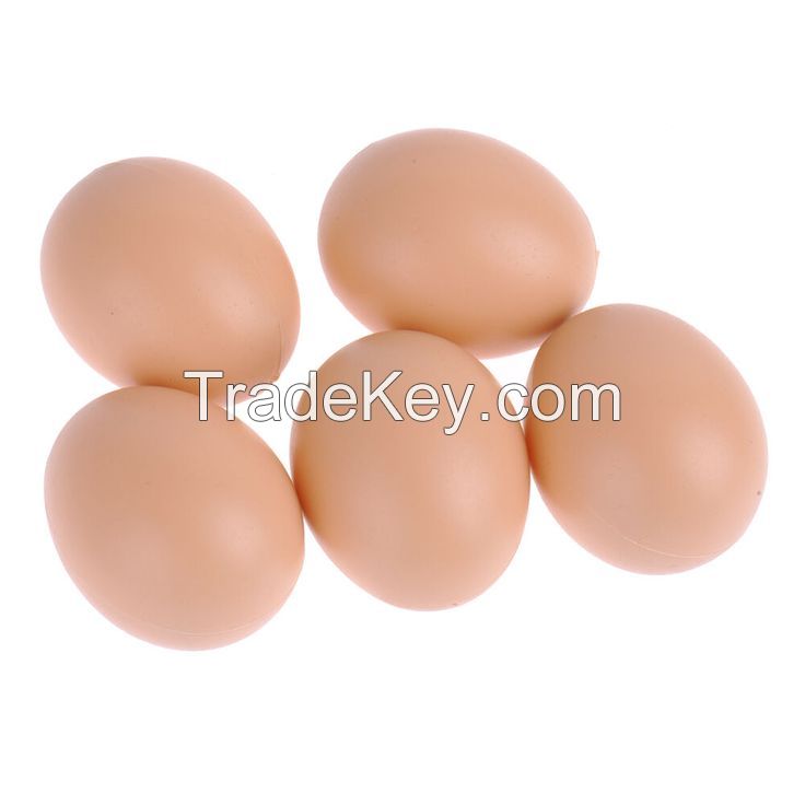 Farm Fresh Chicken Table Eggs / White Chicken Eggs
