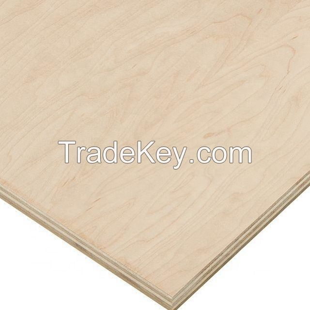 White cheap 18mm melamine plywood for furniture decoration plywood price