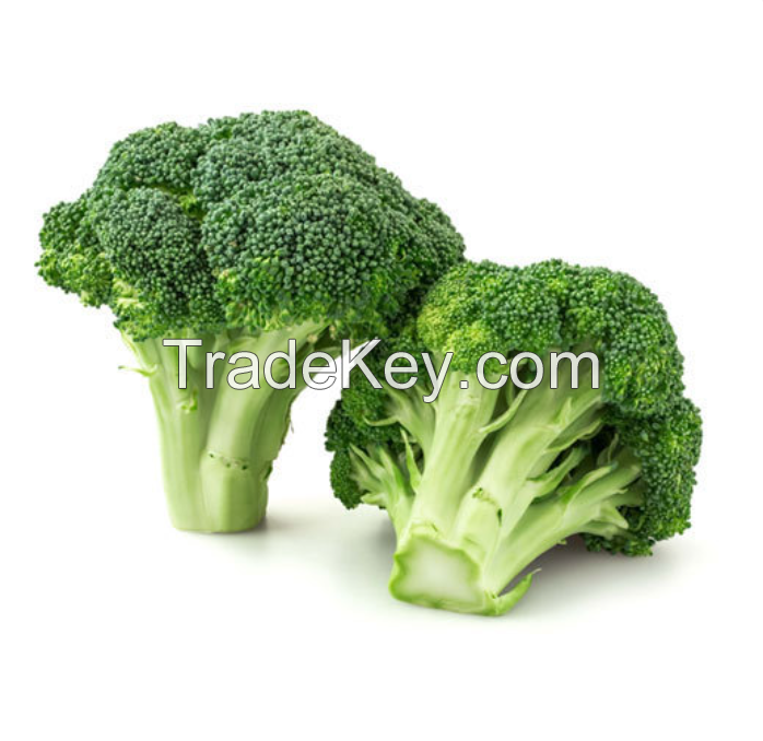Frozen vegetables IQF Quick Frozen Broccoli