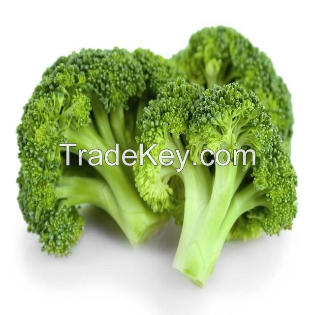 Frozen vegetables IQF Quick Frozen Broccoli