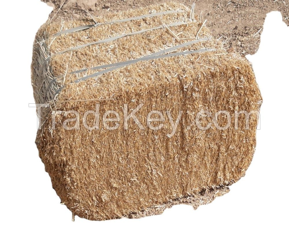 Top Grade Wheat Straw Hay Bales For Animal Feeding Forage / Cattle Feed Wheat Straw Forage for KSA