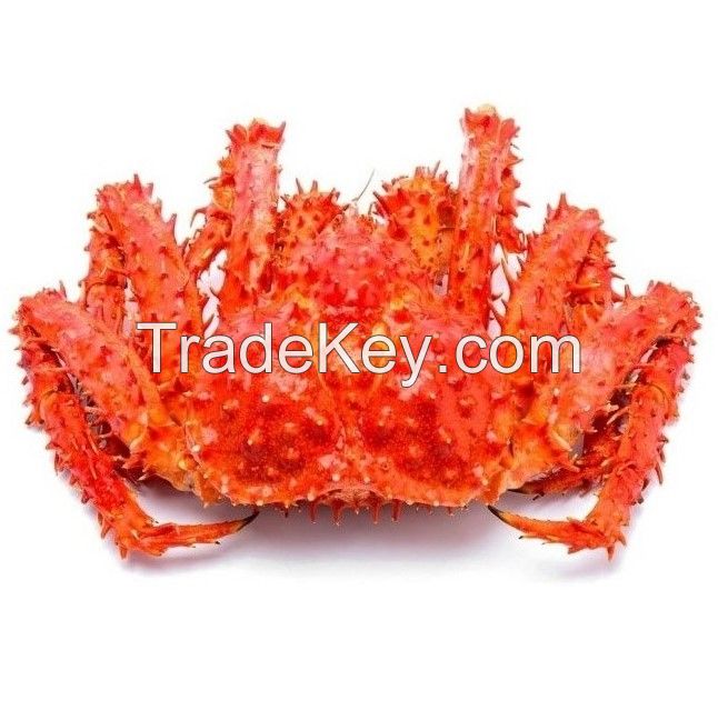 Crab ,Red King Crab ,Live and Frozen Red king crab By Agrony Trading