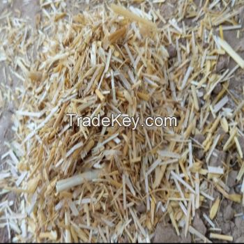 Top Grade Wheat Straw Hay Bales For Animal Feeding Forage / Cattle Feed Wheat Straw Forage for KSA