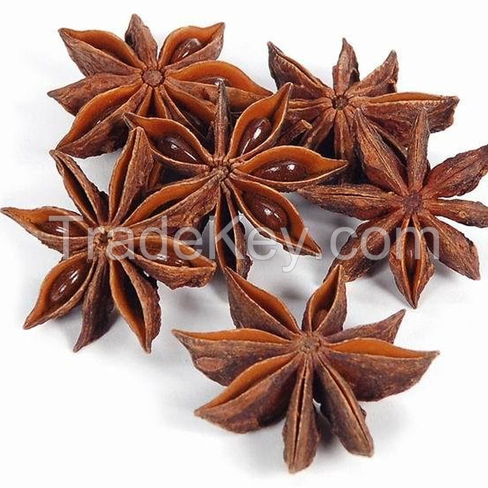 Pure Natural Plant Extract Steam Distillation Star Anise Oil 99% Anethole
