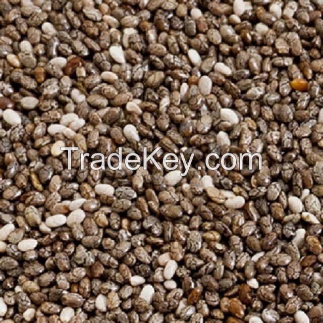 Best Quality Chia Powder Plant Based Chia Seed Extract Carnosic Acid powder