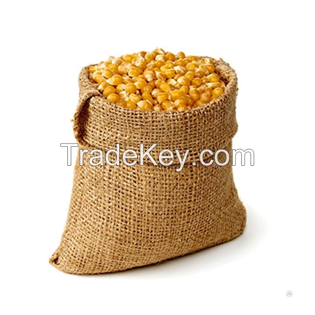 Best Quality Dried Style Yellow Corn/ Dry Maize For Animal Feed Best Price