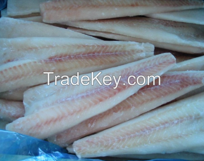 Discount sale Fresh frozen Hake whole fish, Frozen Hake fish fillet hake