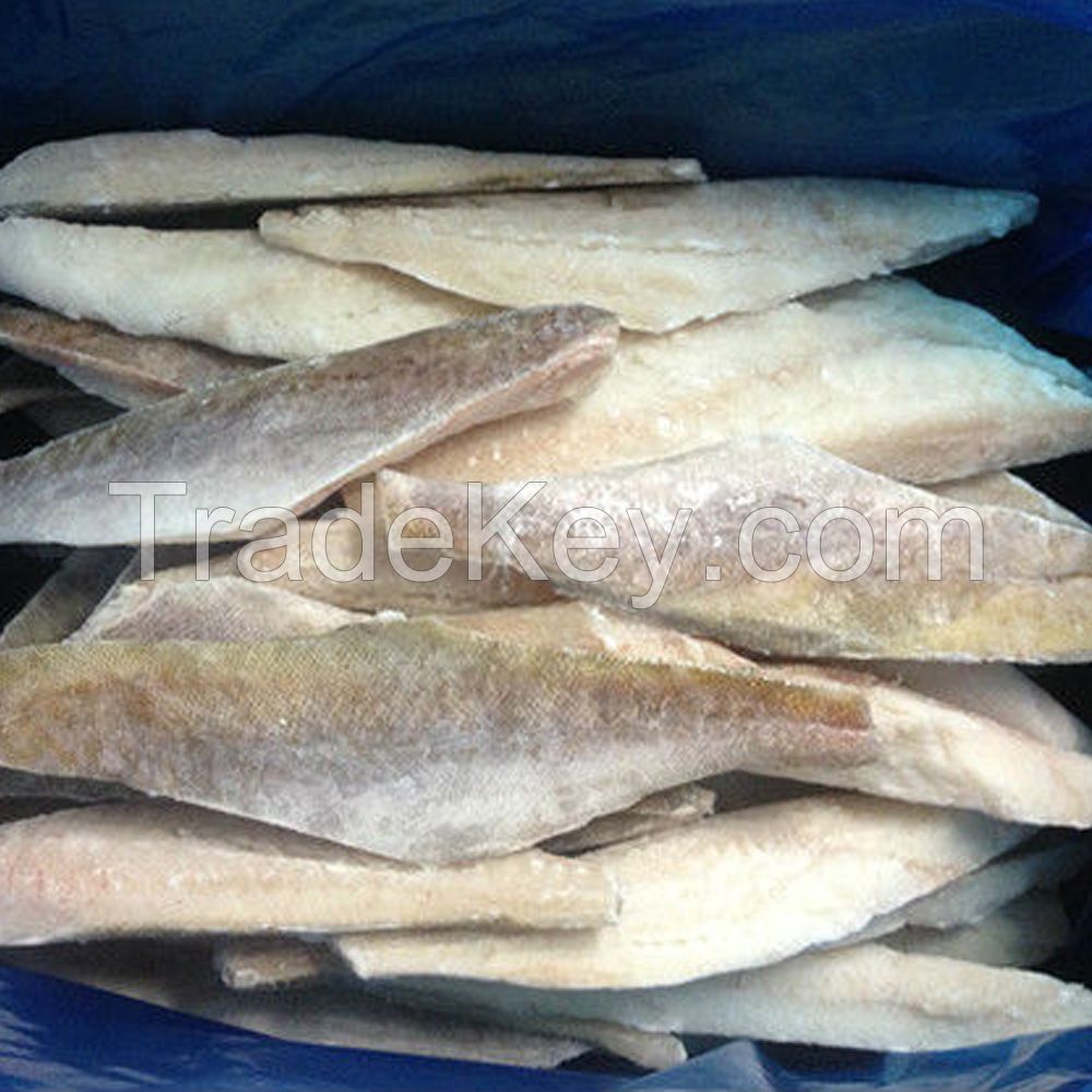 Discount sale Fresh frozen Hake whole fish, Frozen Hake fish fillet hake
