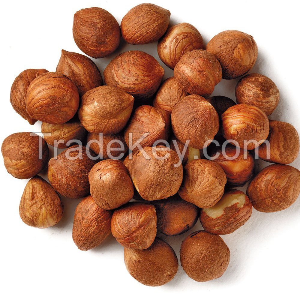 UK suppliers Hazelnut kernels/Hazelnut in shell/ Organic hazelnut