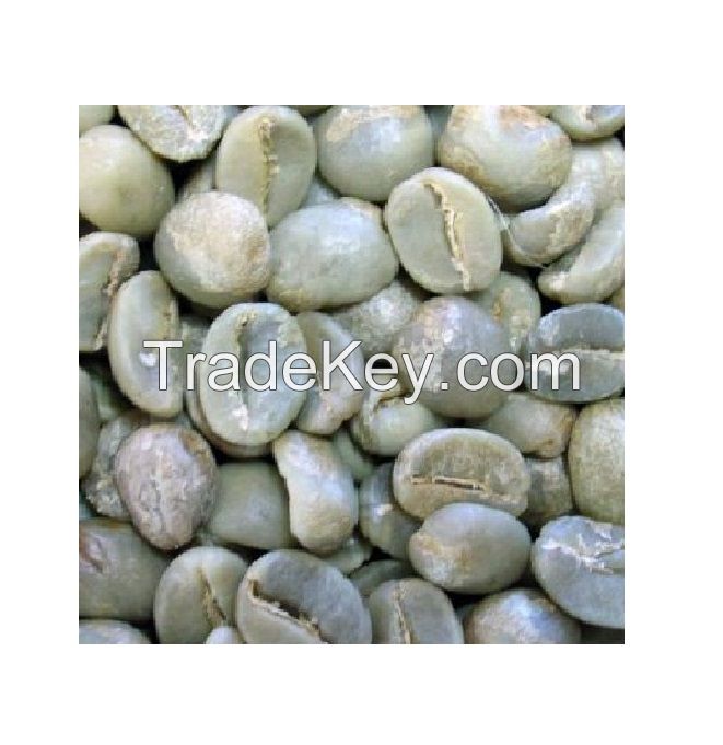 Best quality Green Coffee Beans SANTOS NY2/3 SC.14/16 Arabica ready to export