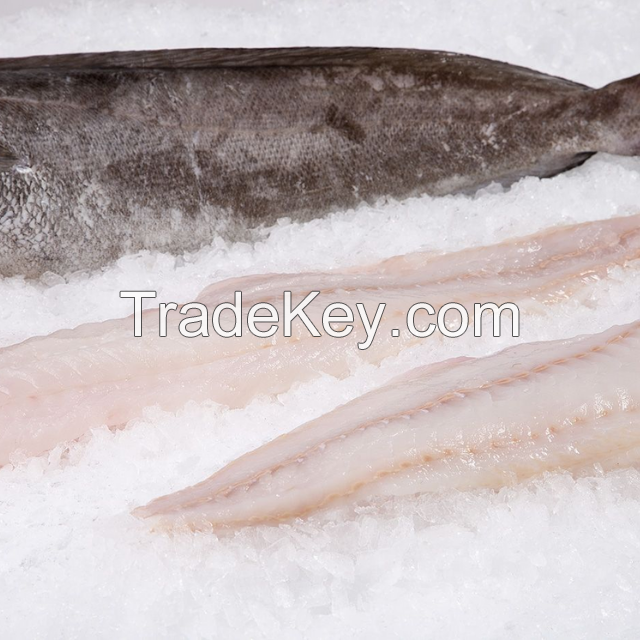 Discount sale Fresh frozen Hake whole fish, Frozen Hake fish fillet hake