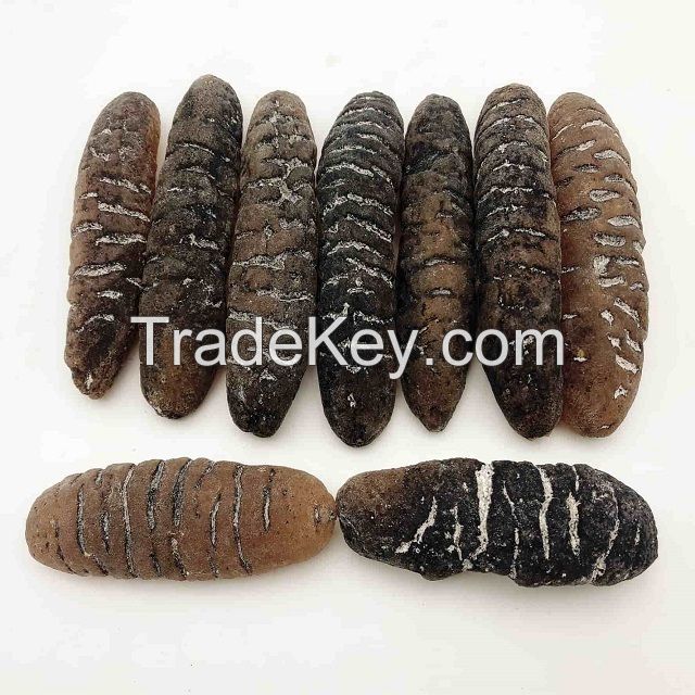 Wholesaler Sea Cucumber Dried and Frozen Sea Cucumber, Natural for sale