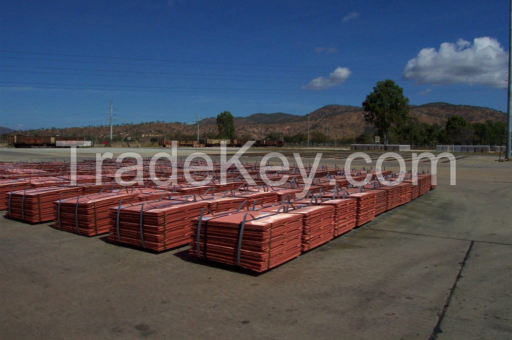 Copper Cathode/ Milbery