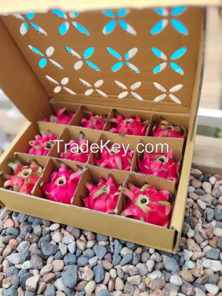 Fresh Premium Red Dragonfruit