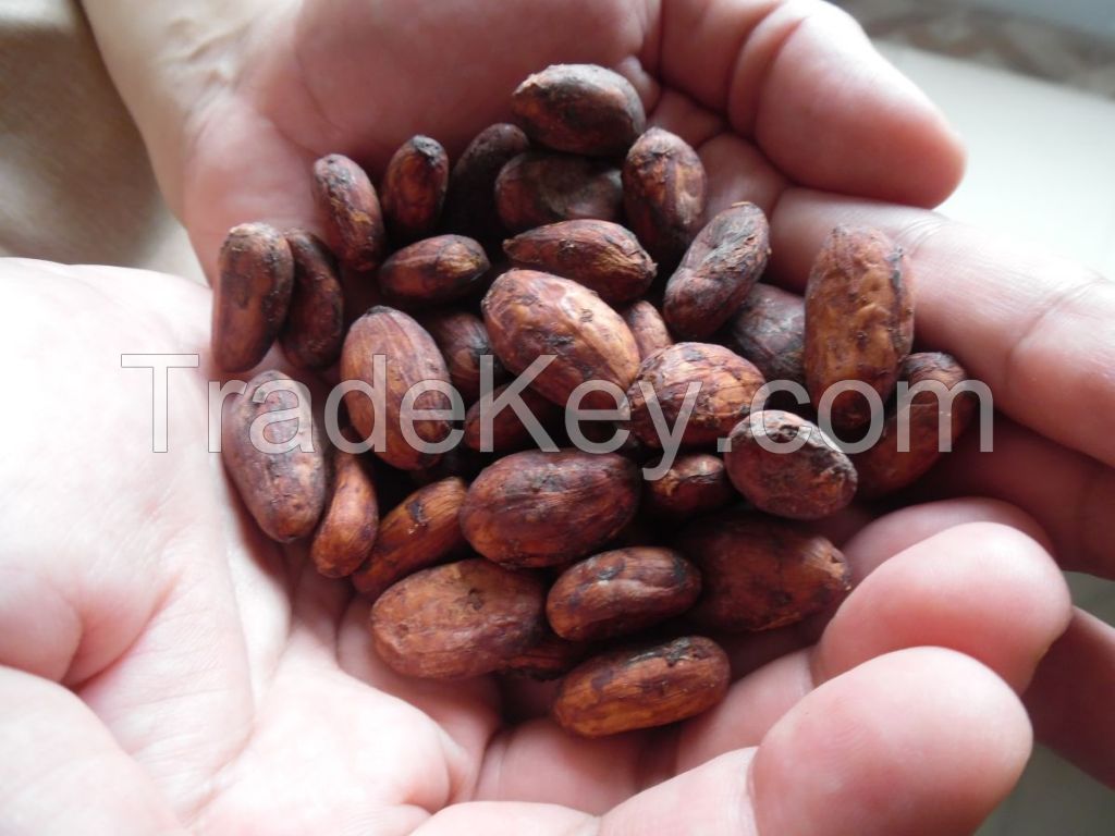 FERMENTED FINE COCOA BEANS (Criollo)
