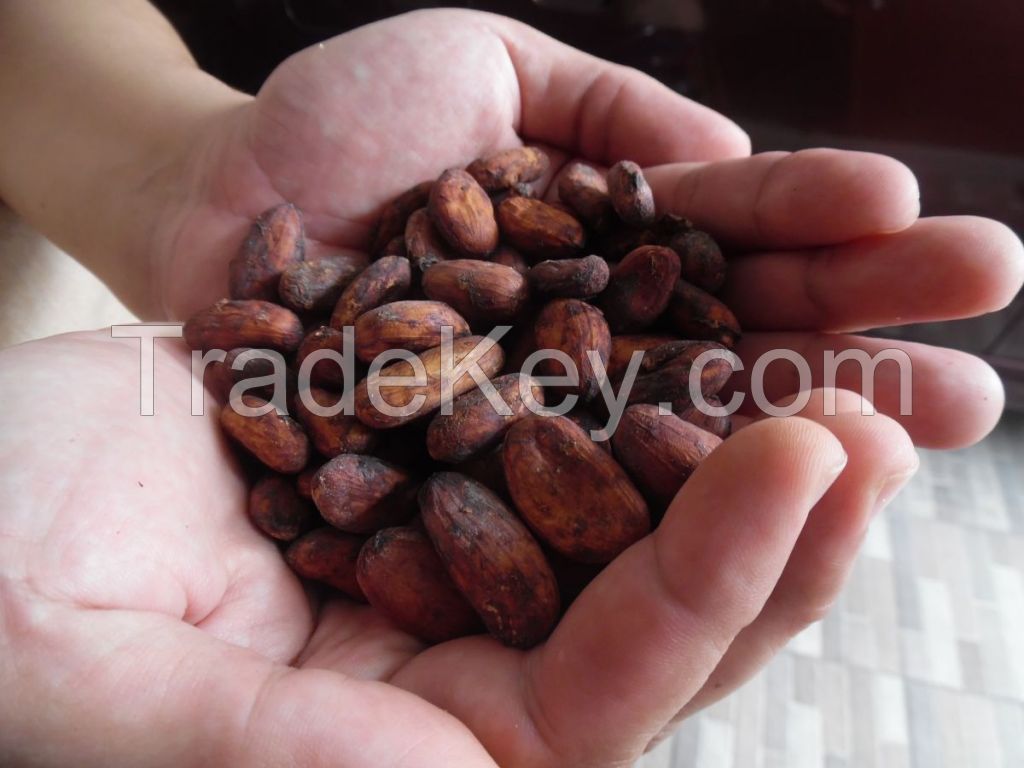 FERMENTED FINE COCOA BEANS (Criollo)