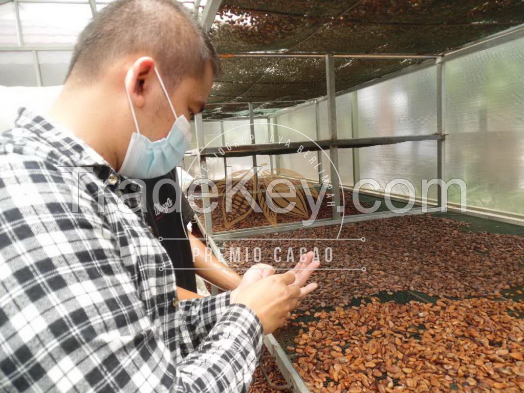 Premium Grade BULK COCOA BEANS (Forastero)