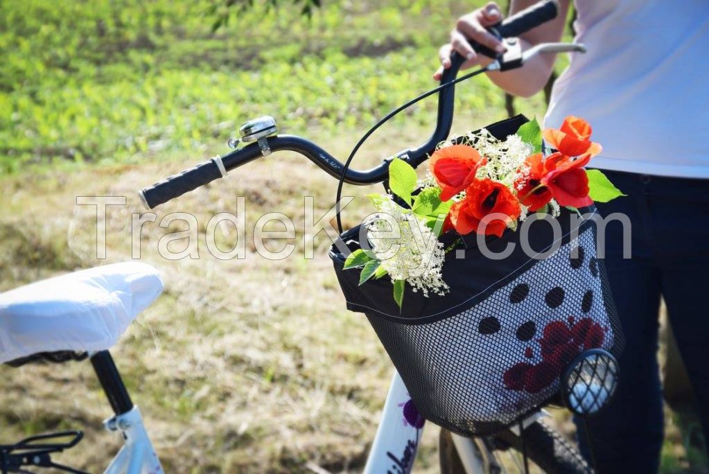 Bicycle bag