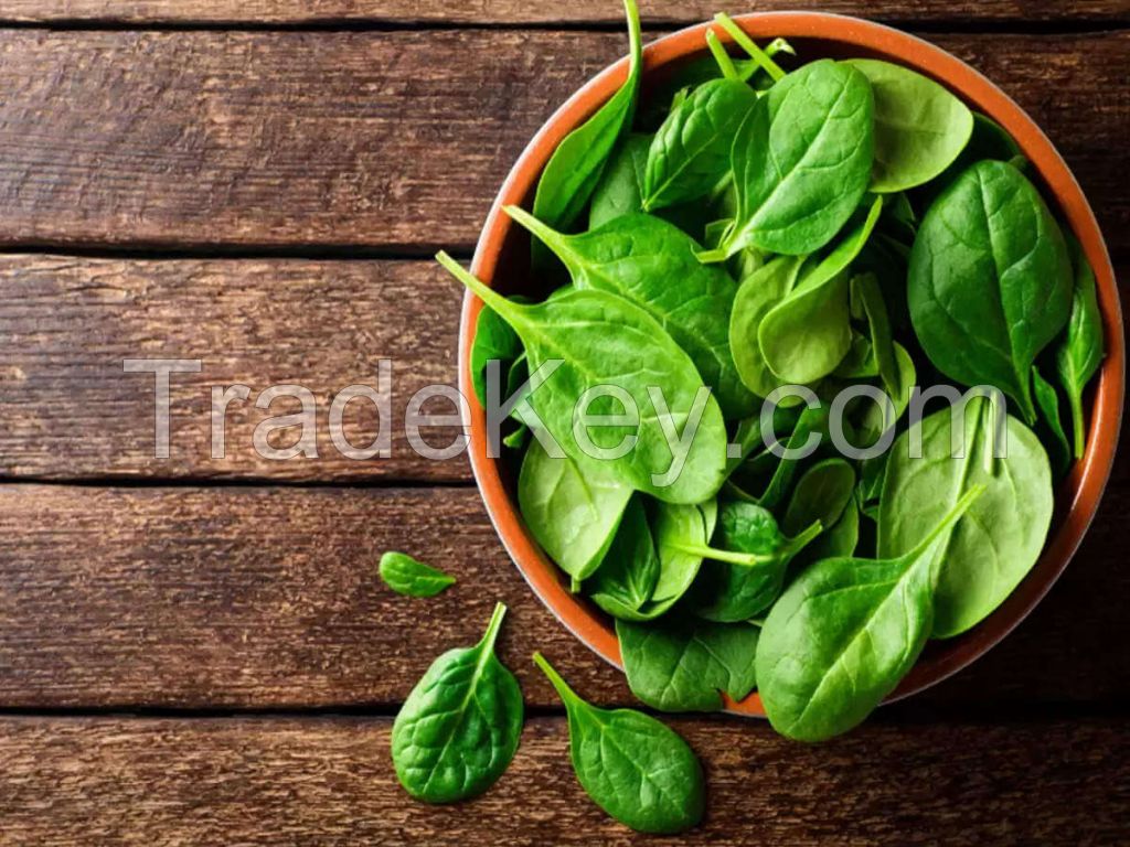 Green Spinach