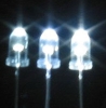 White LED  series