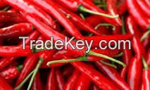 CHILLI PEPPER, RED BELL PEPPER, CAYENNE PEPPER, TATASHE, SHOMBO,