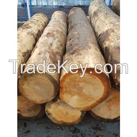 timber logs,