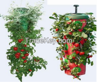 Strawberry Planting Bag / Strawberry Grow Bag/ Herb Planting Bag