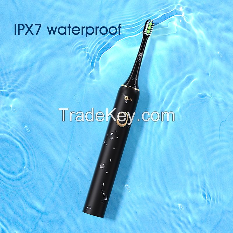 Wholesale Oral Care Rechargeable Waterproof IPX7 Design Electric Toothbrush PT02