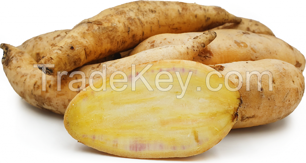 Sweet Potatoes Cilembu
