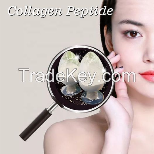 Chinese supplier food grade white powder granule fish collagen nutrilite collagen peptide