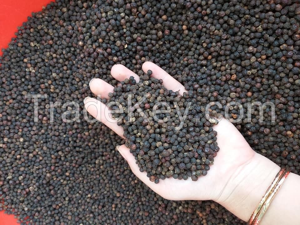 Good Black Pepper 100% natural processed in vietnam from MKPROVN Brand(Skype: +84 97 105 49 25)