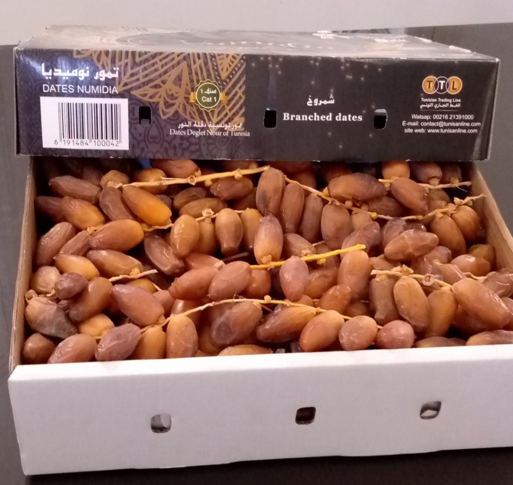 Tunisian Deglet Nour Dates On Branch Category 1