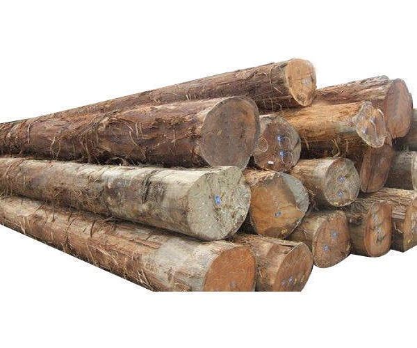 Kosso wood