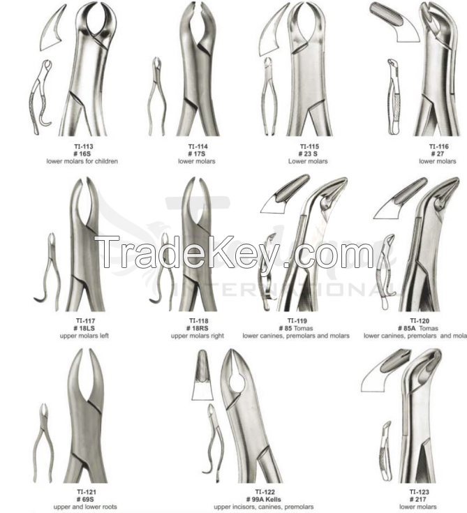 Extracting forceps (American Pattern)