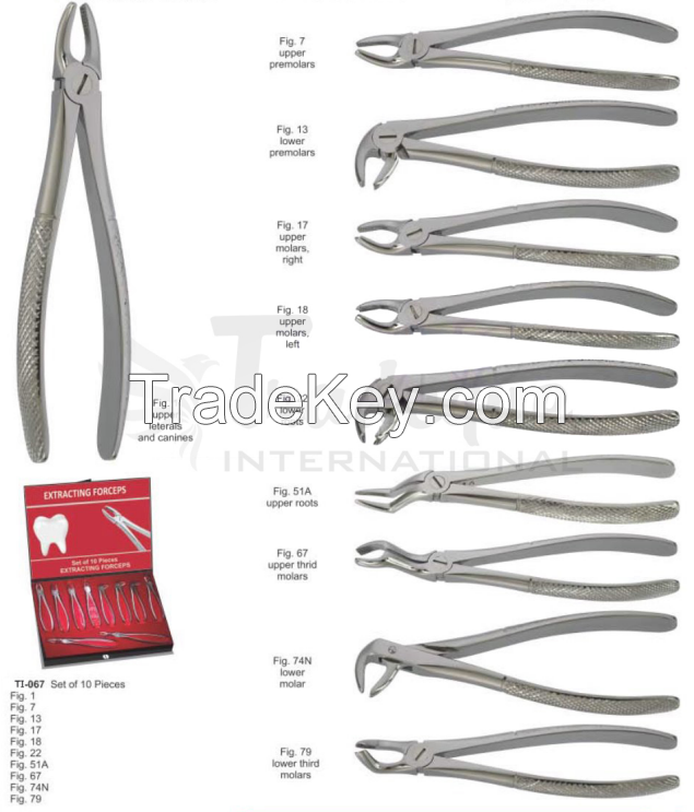 Extracting forceps (English Pattern)