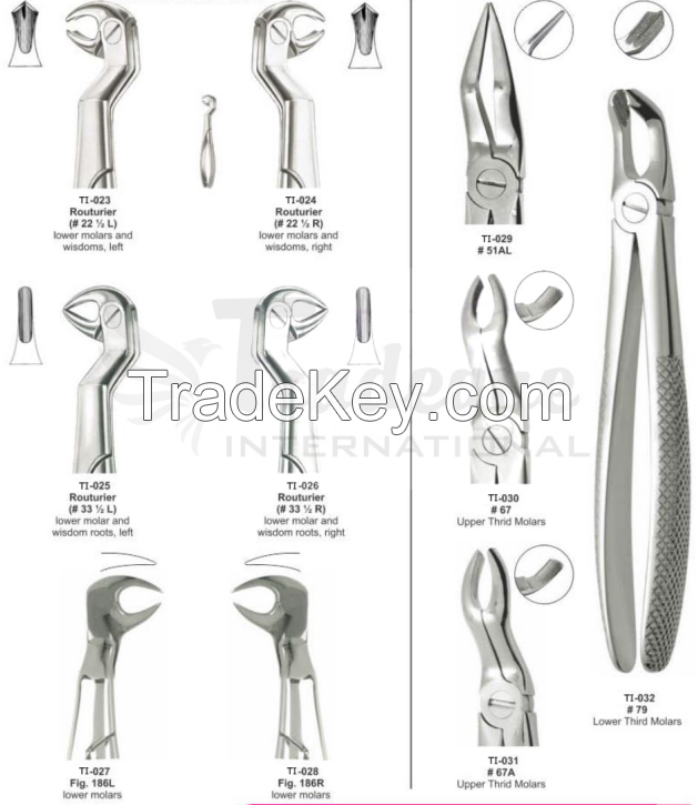 Extracting forceps (English Pattern)