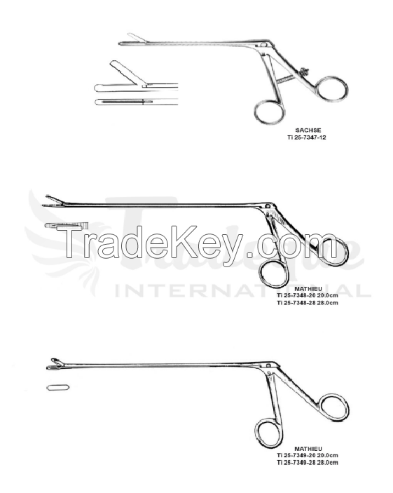 Kidney, Urology Instruments