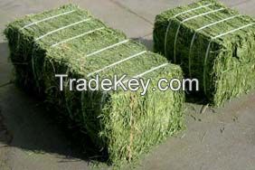 Animal husbandry >> Feed >> Alfalfa Hay