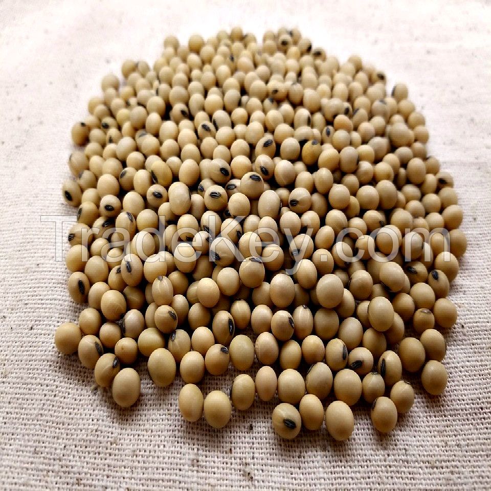 Soybeans