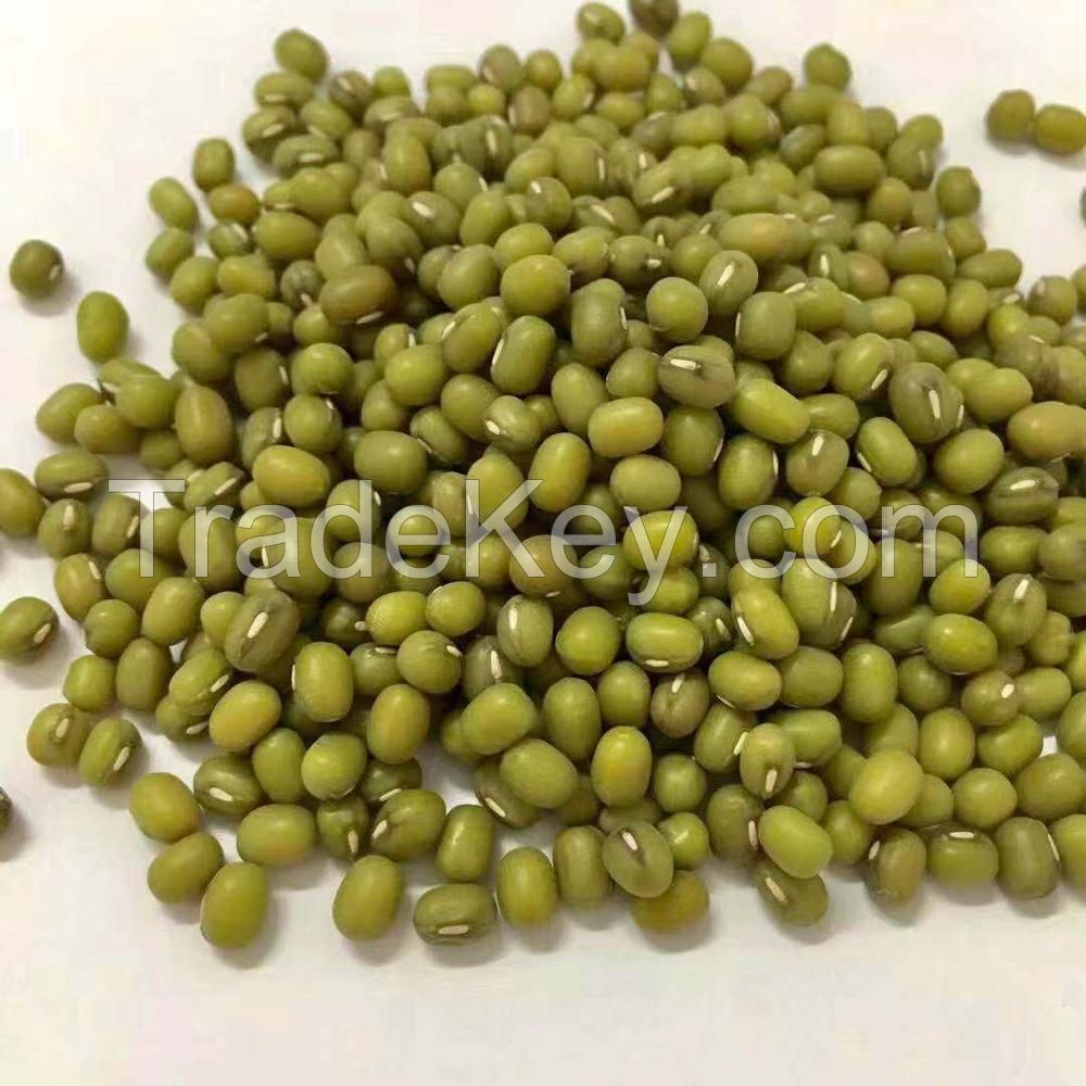 Mung Beans