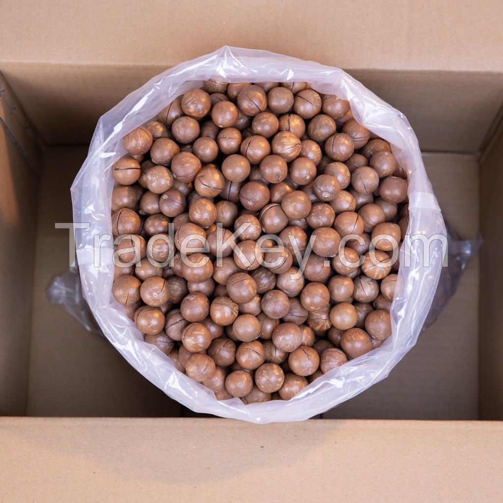 Macadamia Nuts 