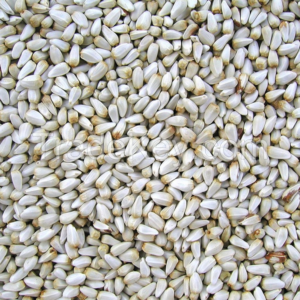 Safflower Seeds