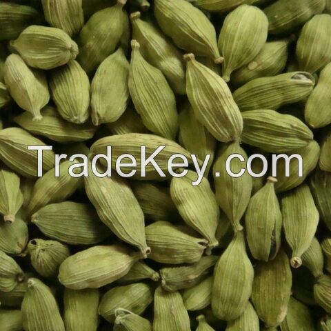 Green Cardamom