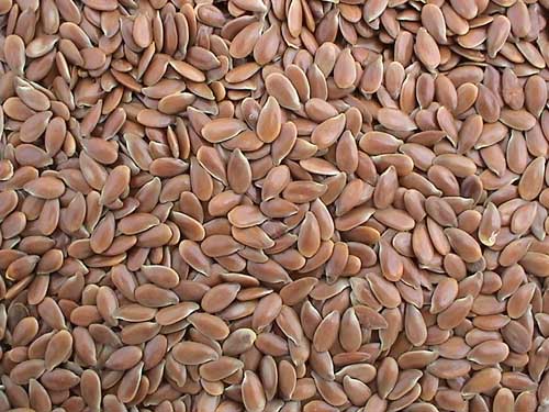 Quality And Sell Flax Seed