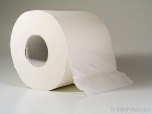 Quality and Sell toilet paper