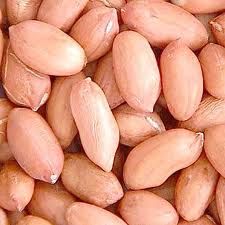Quality and Sell groundnut kernels,New crop blanched groundnut kernels,Long Type groundnut kernel