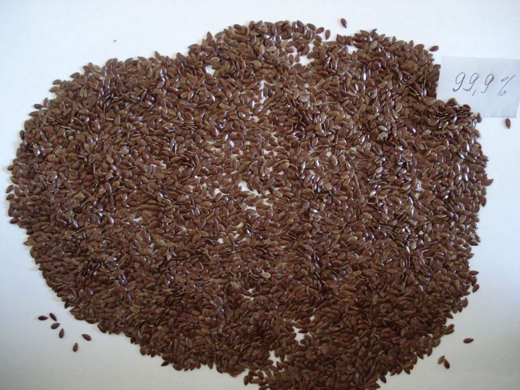 Quality and Sell Flax seeds brown 99.9%