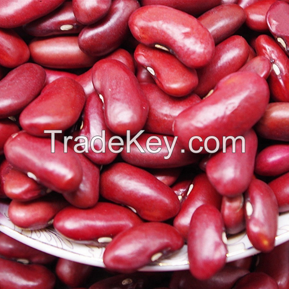 Quality and Sell Speckled Kidney Beans For Sale