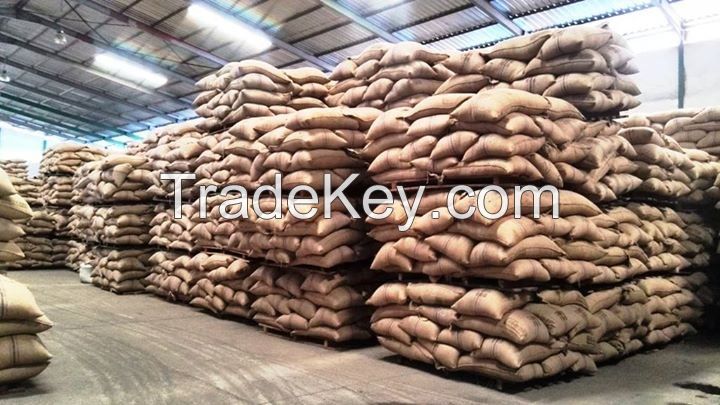 Quality and Sell High Quality Arabica and Robusta Coffee Beans / Grade A